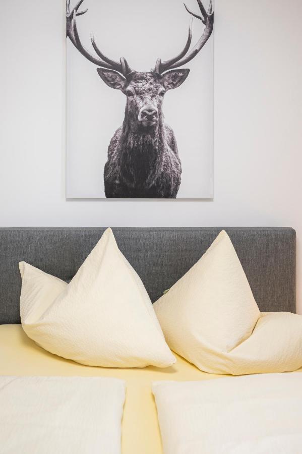 Appartement Haus Kindler à Radstadt Extérieur photo